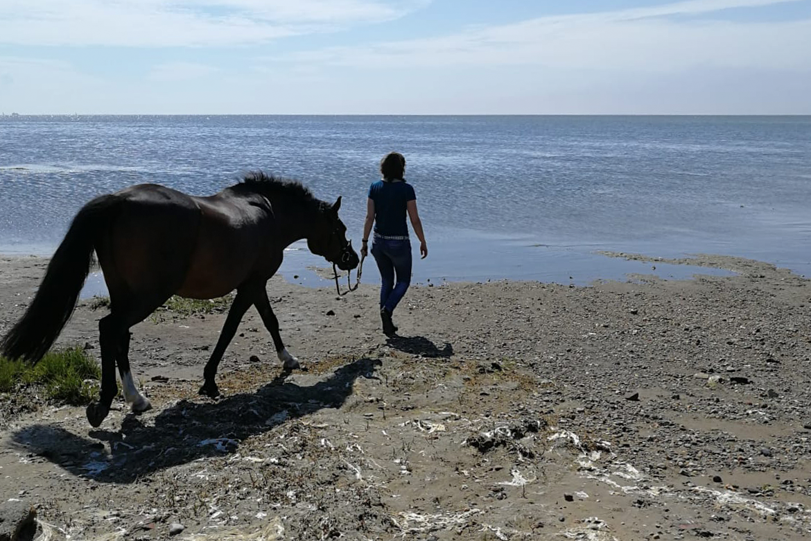 Frau mit Pferd am Meer Meereklima direkt bei Ihnen vor Ort mit Lucky Therapie